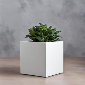 Puede incluir: Una maceta cuadrada de cerámica blanca que contiene una planta verde con hojas texturizadas. La maceta tiene forma de cubo y se encuentra sobre una superficie marrón claro. El fondo es gris apagado.