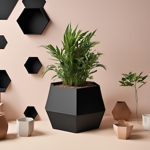 May include: A large, geometric black planter filled with a lush green plant. The planter has a modern, angular design. Several smaller decorative planters in various colours and shapes are arranged around the main planter. Black hexagon shelves are mounted on the pink wall.