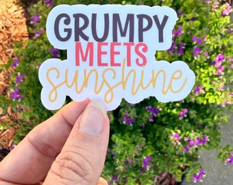 Grumpy Meets Sunshine Sticker | Romance Trope Sticker | Book Lover Gift