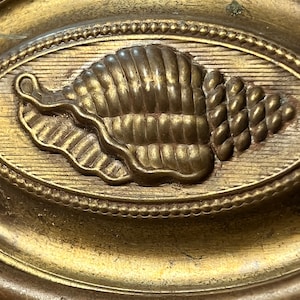 May include: A gold-toned metal door knob with an ornate design featuring a seashell. The seashell is raised and detailed with ridges and a rope-like texture.