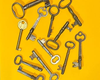Vintage Skeleton Key, Pic-A-Key