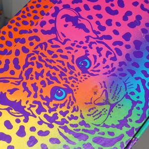 May include: A rectangular box featuring a vibrant, multi-colored leopard print pattern in shades of orange, pink, purple, and blue. The face of a leopard is centered on the surface, and the text Lisa Frank is printed in a white script font.