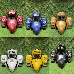 Sting bokssparringset | Bokshandschoenen Headgear Liesbeschermerset | 8 oz-18 oz alle maten | Professionele trainingsuitrusting