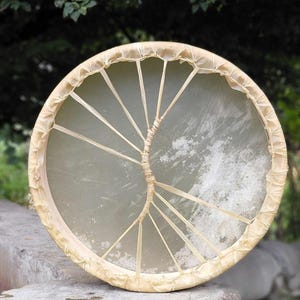 May include: A circular frame drum featuring a translucent, light-colored animal hide head stretched over a wooden hoop. The drum head is secured with thin, light-colored lacing that is woven into a central vertical pattern resembling a tree trunk.