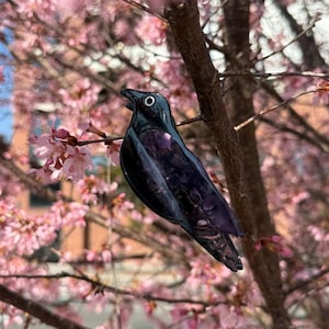 Raven Hair Claw Clip - Crow, Blackbird, Gothic Bird
