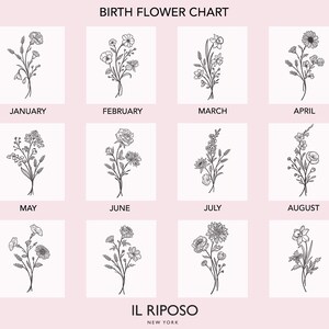 Puede incluir: Un cuadro de flores de nacimiento con doce ilustraciones florales, cada una representando un mes del a&ntilde;o. El cuadro incluye los meses de enero a diciembre, con el nombre de cada mes impreso debajo de su flor correspondiente. El texto "BIRTH FLOWER CHART" est&aacute; en la parte superior.