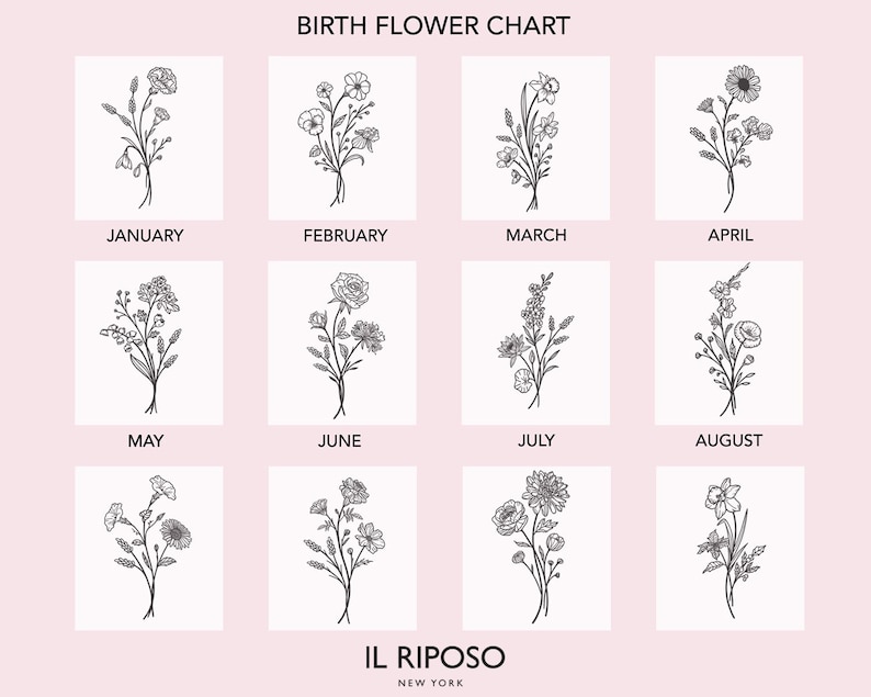 Puede incluir: Un cuadro de flores de nacimiento con doce ilustraciones florales, cada una representando un mes del a&ntilde;o. El cuadro incluye los meses de enero a diciembre, con el nombre de cada mes impreso debajo de su flor correspondiente. El texto "BIRTH FLOWER CHART" est&aacute; en la parte superior.