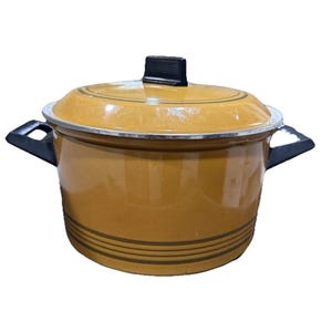 May include: A mustard-yellow cooking pot with a lid and black handles. The pot has a silver rim and a black handle on the lid. The pot has a series of dark grey horizontal lines near the bottom.