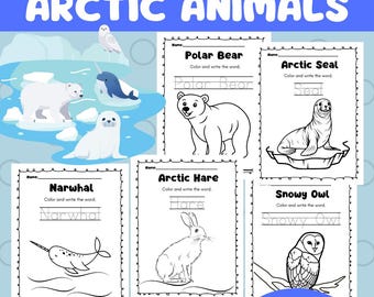 Arctic Animals: Write and Color - Preschool and Kindergarten Winter