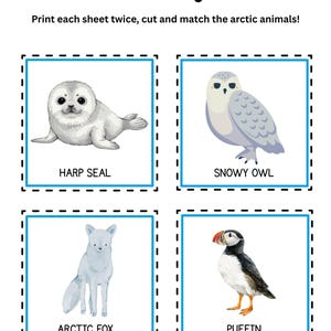 May include: A printable Arctic Matching Game featuring illustrations of arctic animals: a harp seal, snowy owl, arctic fox, and puffin. The game instructions are printed at the top of the image.