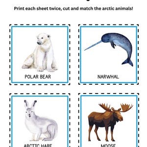 May include: A printable Arctic Matching Game featuring illustrations of a polar bear, narwhal, arctic hare, and moose. The text reads "Arctic Matching Game" and instructions to print, cut, and match the arctic animals.