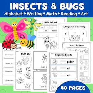 Puede incluir: Un conjunto de hojas de trabajo educativas coloridas titulado "INSECTOS Y BICHOS" con actividades para el alfabeto, la escritura, las matemáticas, la lectura y el arte. Incluye ilustraciones de insectos y "40 PÁGINAS".
