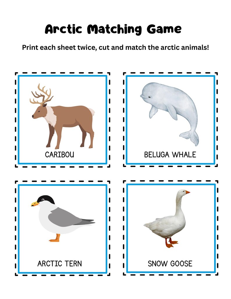 May include: A printable Arctic Matching Game featuring illustrations of arctic animals: a caribou, beluga whale, arctic tern, and snow goose. The game instructions are printed at the top of the image.