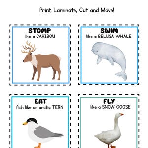 May include: Educational Arctic Movement Cards featuring a caribou, beluga whale, arctic tern, and snow goose. Each card has a prompt to stomp, swim, eat, or fly. The cards are designed to be printed, laminated, and cut.