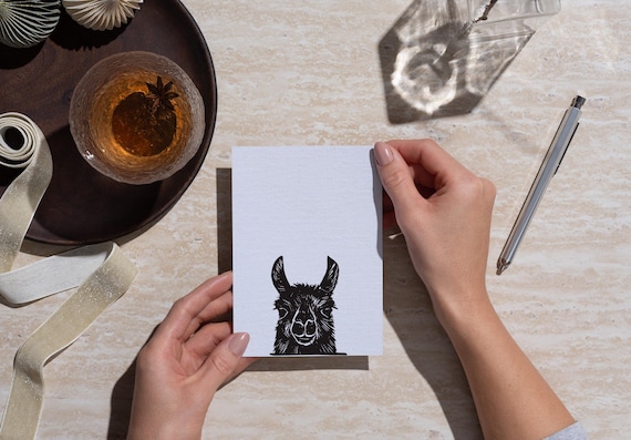 Llama Illustration Greeting Card Set, Blank Notecards with Kraft Envelopes