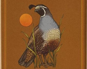 Quail Art Print 5x5, Archival Matte Bird Wall Art With California Illustration