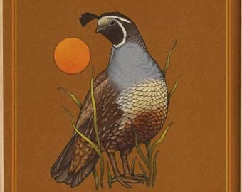 Quail Art Print 5x5 inches, Nature Wall Decor, Bird Illustration
