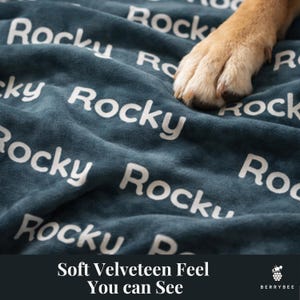 以下が含まれることがあります： 「Rocky」の文字が白で繰り返しプリントされた、ティール色のベルベットの毛布。犬の足が毛布の上にあります。「Soft Velveteen Feel You can See」の文字が下にあります。