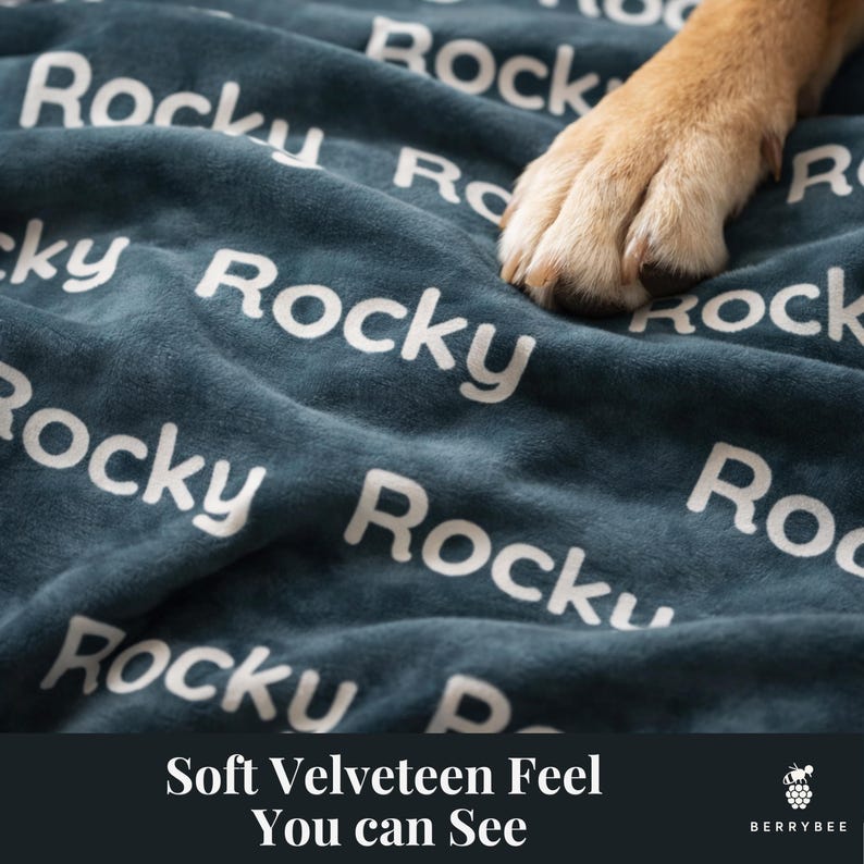 以下が含まれることがあります： 「Rocky」の文字が白で繰り返しプリントされた、ティール色のベルベットの毛布。犬の足が毛布の上にあります。「Soft Velveteen Feel You can See」の文字が下にあります。