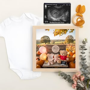 Pode incluir: Um anúncio de gravidez com uma foto emoldurada de um campo de abóboras, uma ultrassonografia, um body branco e um brinquedo de madeira para bebês. A foto emoldurada inclui um ursinho de pelúcia, um porco e um conjunto de bebê.