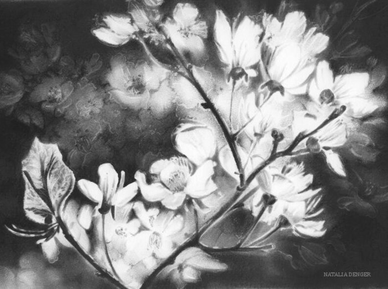 16x20original Charcoal Framed Drawing White Blossoms Fruit Etsy