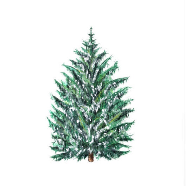 Norway spruce tree giclée print/Watercolor evergreen tree poster/Tree art nature print