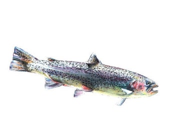 Rainbow trout giclée art print/Watercolor wildlife poster/Fish art nature print