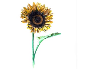 Sunflower giclée art print/Watercolor flower poster/Yellow sunflower nature print