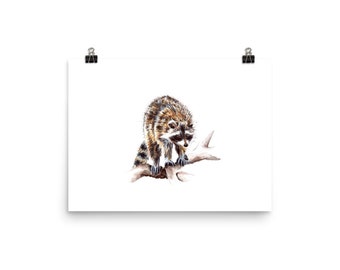 Racoon art print/Watercolor wildlife poster/Racoon giclée nature print