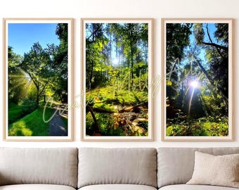 Forest Light Wall Art Set of 3 | Nature Photography Prints | Printable Wall Art | Calm Minimal Decor I Scandinavian Minimal Decor