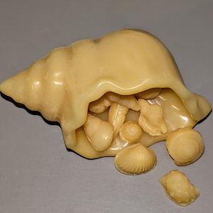 Puede incluir: Una escultura de concha de color crema que rebosa de conchas más pequeñas y detalladas. La concha más grande está abierta, revelando las conchas más pequeñas en su interior y esparcidas alrededor. La escultura está sobre una superficie gris.