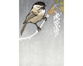 Maple Perch - Greeting Card