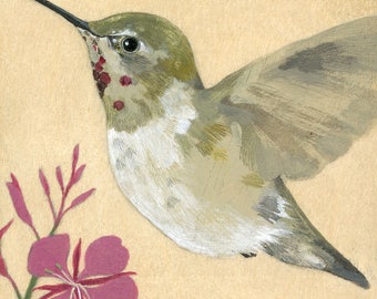 Reproduction of original "Anna's Hummingbird" painting