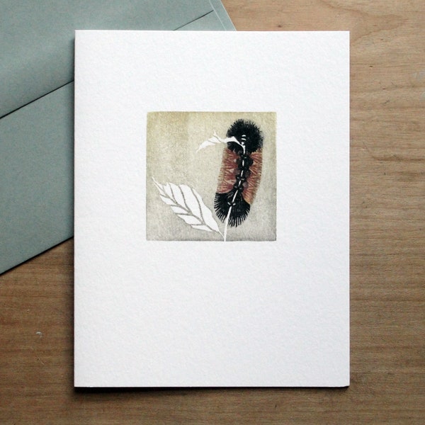 Woolly Bear - Greeting Card