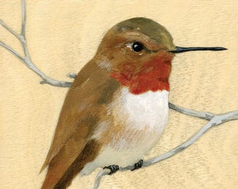 Reproduction of original "Rufous Hummingbird" painting