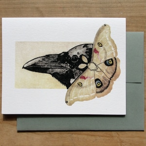 May include: A black and white illustration of a raven with a moth on its head. The moth is brown and white with red accents. The illustration is on a white background.