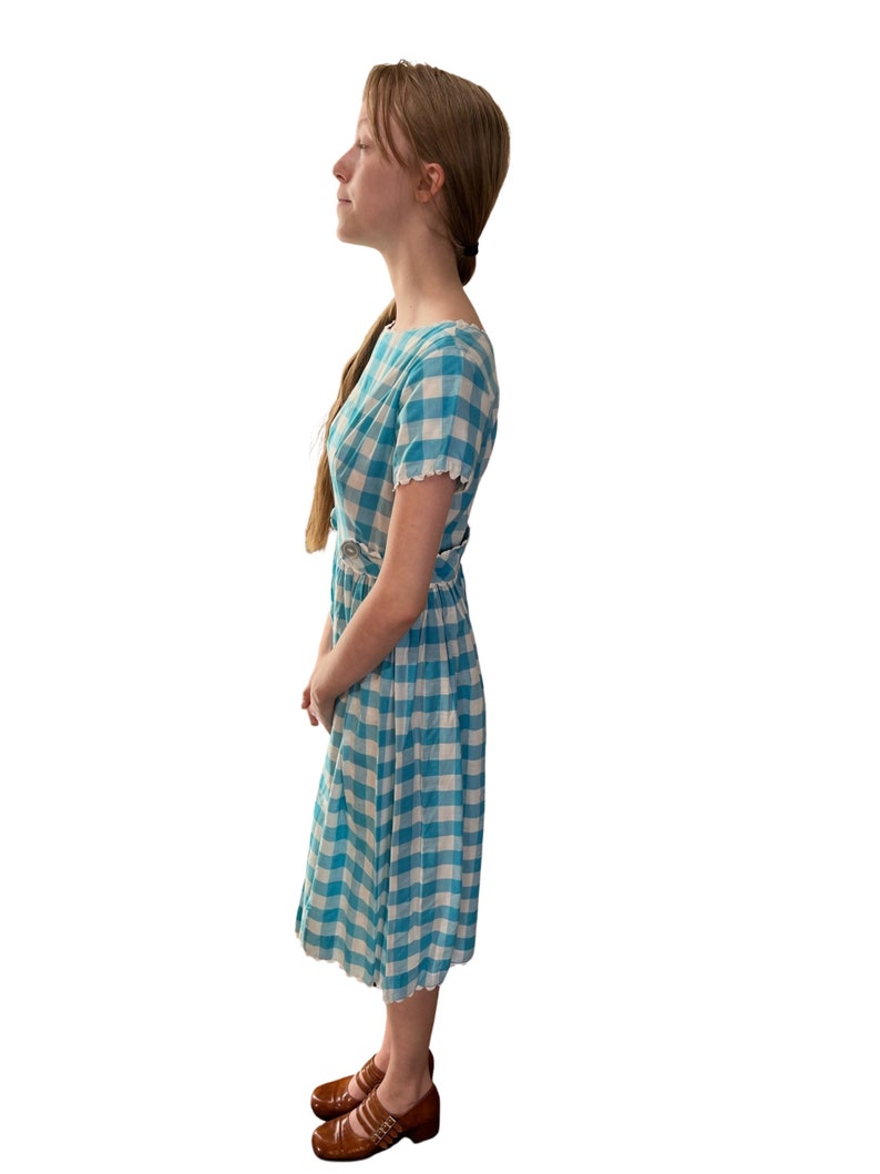 1950s blue gingham sundress image 4