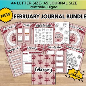May include: A digital February journal bundle with 39 pages. The journal includes pages for fast food tracking, playlists, mood tracking, and weekly planning. The pages have a pink and red color scheme with bow and heart designs. Text includes "February Journal Bundle".