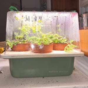 May include: A green Garden Station planter with a clear plastic humidity dome covering three small terracotta pots containing green plants. The base is rectangular with rounded corners and the text Garden Station is embossed on the front side.
