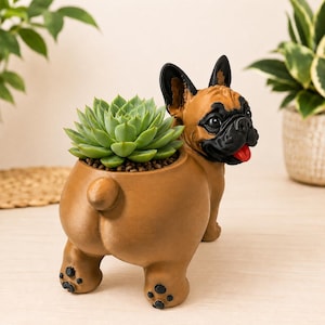 May include: A brown bulldog-shaped planter with a green succulent plant. The planter has black accents on the ears, nose, and paws, and a red tongue. The succulent is planted in soil inside the planter.