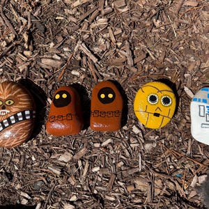 May include: Five hand-painted rocks featuring Star Wars characters. The characters include Chewbacca, two Jawas, a yellow-skinned character, and R2-D2. The rocks are painted with detailed facial features and character-specific designs.