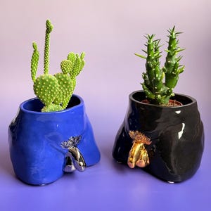 Könnte beinhalten: Zwei Keramik-Pflanzgefäße, eines blau und eines schwarz, jeweils in Form eines Torsos mit einem dekorativen Anhängsel. Der blaue Pflanztopf hat einen silbernen Akzent, und der schwarze Pflanztopf hat einen goldenen Akzent. Jeder Topf enthält eine andere Art von Kaktus.