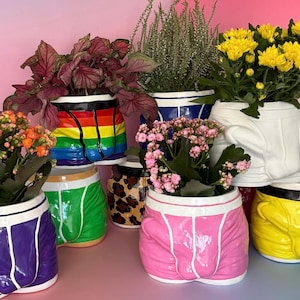 May include: A selection of ceramic plant pots designed as boxer shorts, each filled with plants. The pots are painted in vibrant colours such as rainbow stripes, pink, green, and yellow. Some have white trim, and the plants have green and colourful leaves. The pots are decorative.