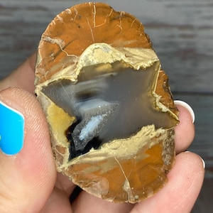 May include: A polished, natural stone specimen with a striking pattern. The stone features bands of orange, brown, black, and gray, with a central cavity. The stone is held in a hand, showcasing its unique colors and textures.