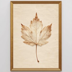 Maple Leaf Printable Wall Art Leaf Wall Art Botanical Wall Art Neutral Wall Art Minimalist Wall Art (Digital Download)