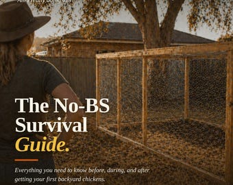 Guía para criar gallinas en el patio trasero en Australia / Cuidado básico de aves de corral (Descarga digital)