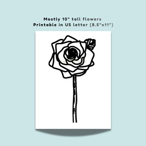 May include: A black and white line drawing of a single rose on a stem with one leaf. The text above the image reads: Mostly 10" tall flowers. Printable in US letter (8.5"x11"). The design features bold outlines on a white rectangular background.