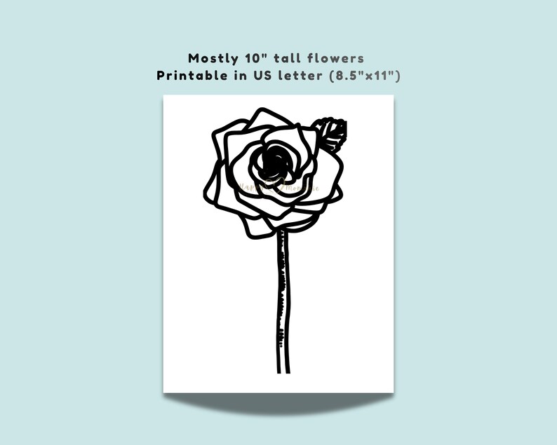 May include: A black and white line drawing of a single rose on a stem with one leaf. The text above the image reads: Mostly 10" tall flowers. Printable in US letter (8.5"x11"). The design features bold outlines on a white rectangular background.