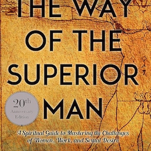 Op de afbeelding: Boekomslag van "The Way of the Superior Man" van David Deida. De omslag heeft zwarte tekst op een bruine achtergrond met een illustratie. Het boek is gemarkeerd als een internationale bestseller en een 20e jubileumeditie.