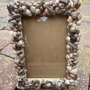 Handmade Shell Frame: Florida Seashell Decor